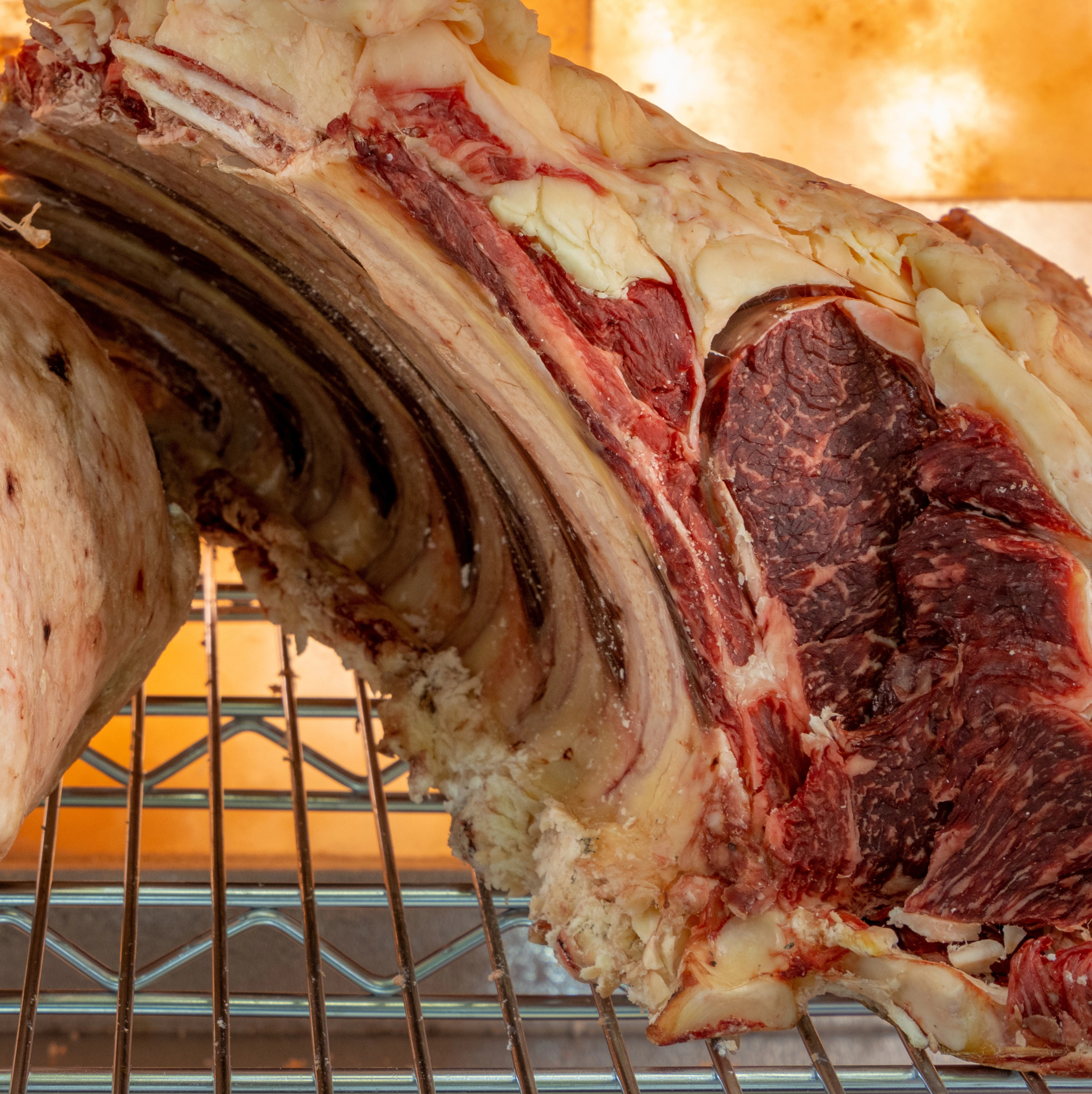 Steaks in dry ager unit.