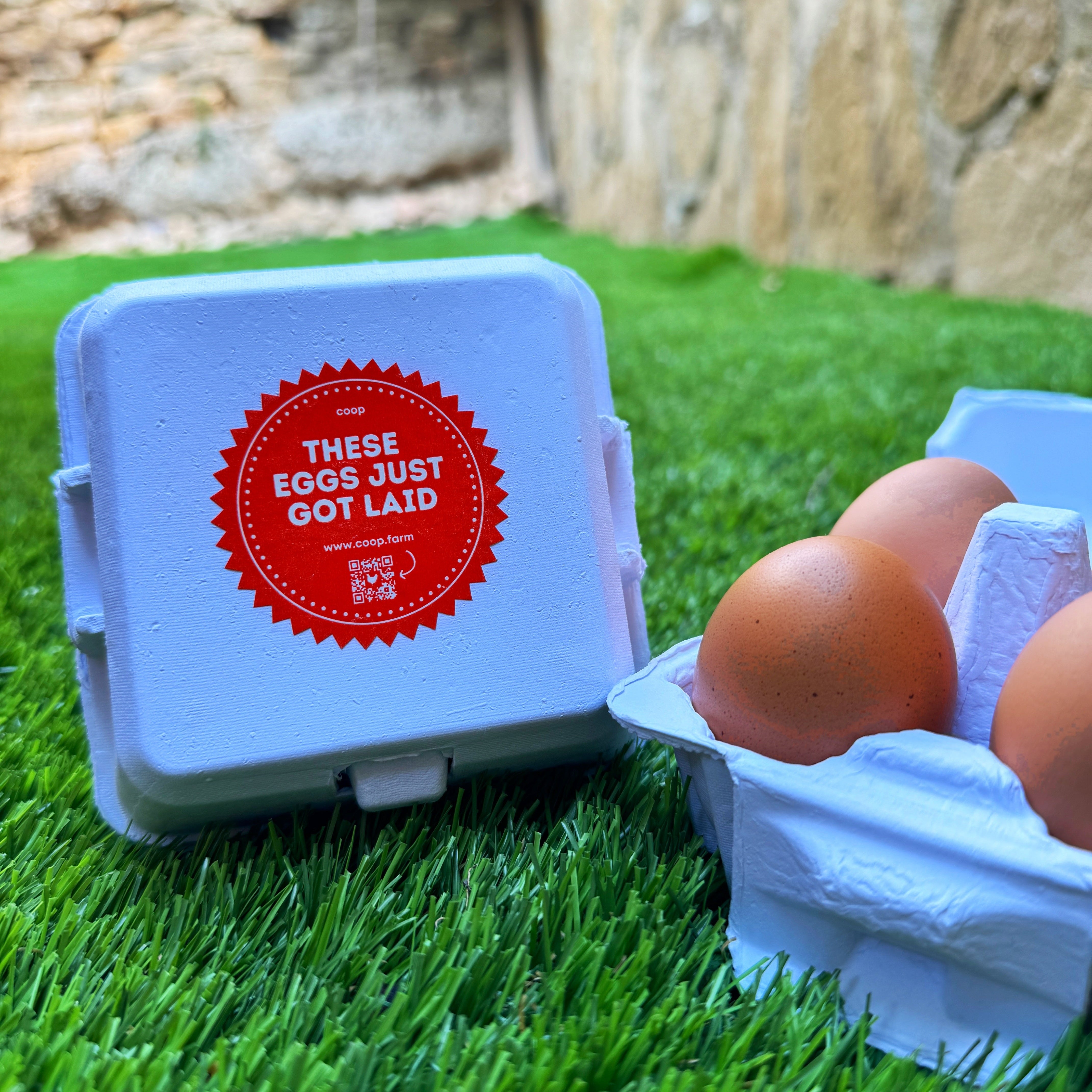 Chicken Eggs - 4 Egg Carton
