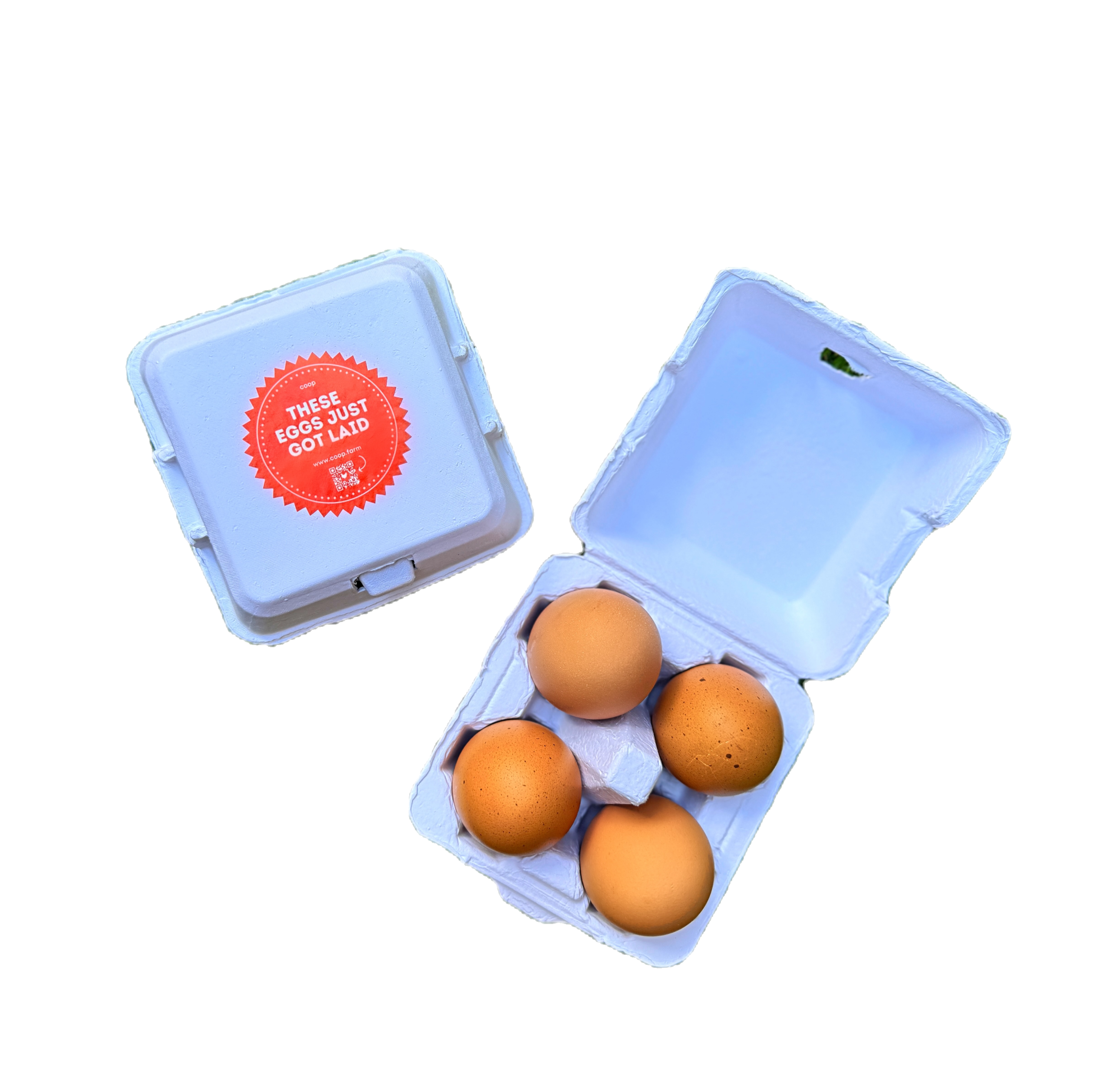 Chicken Eggs - 4 Egg Carton