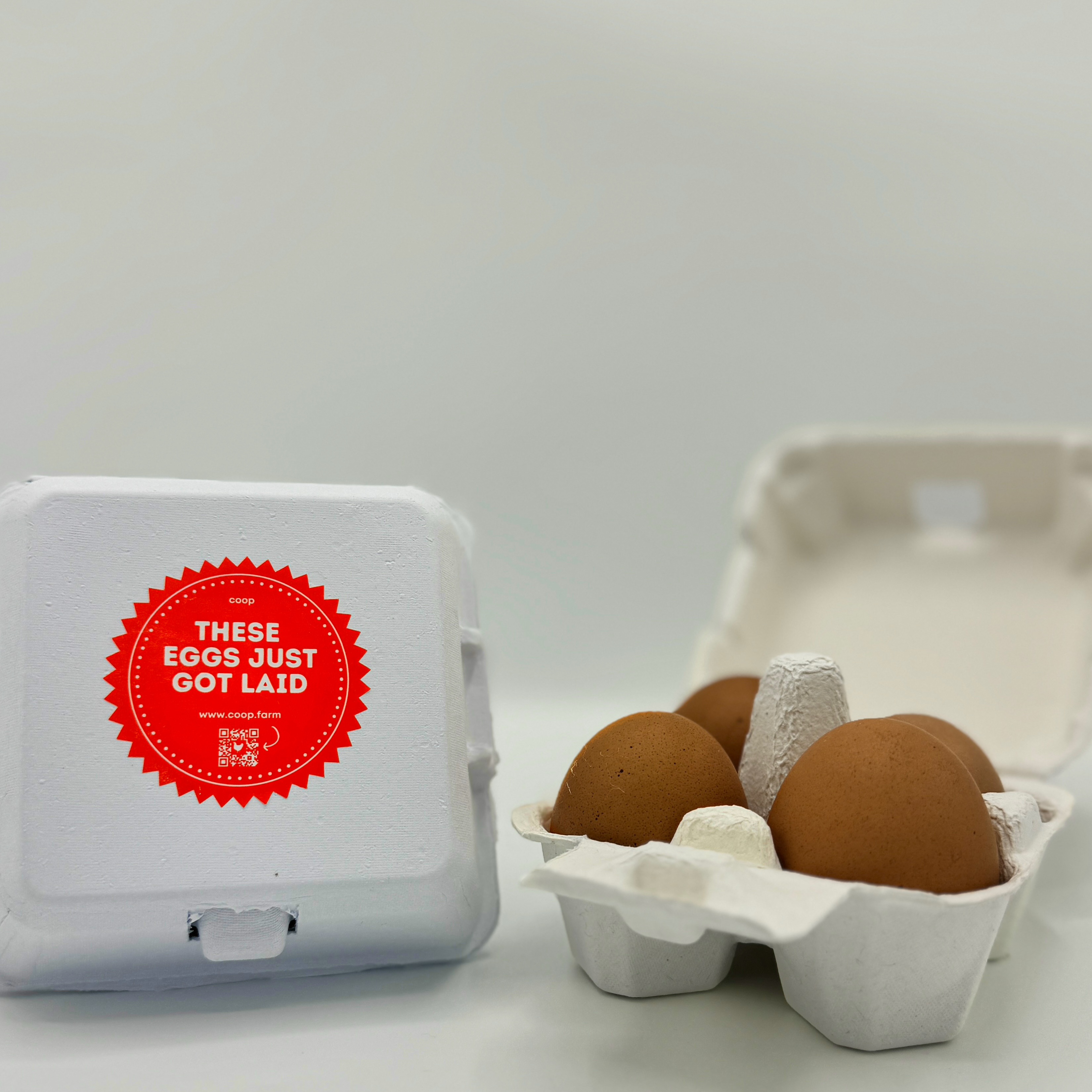 Chicken Eggs - 4 Egg Carton