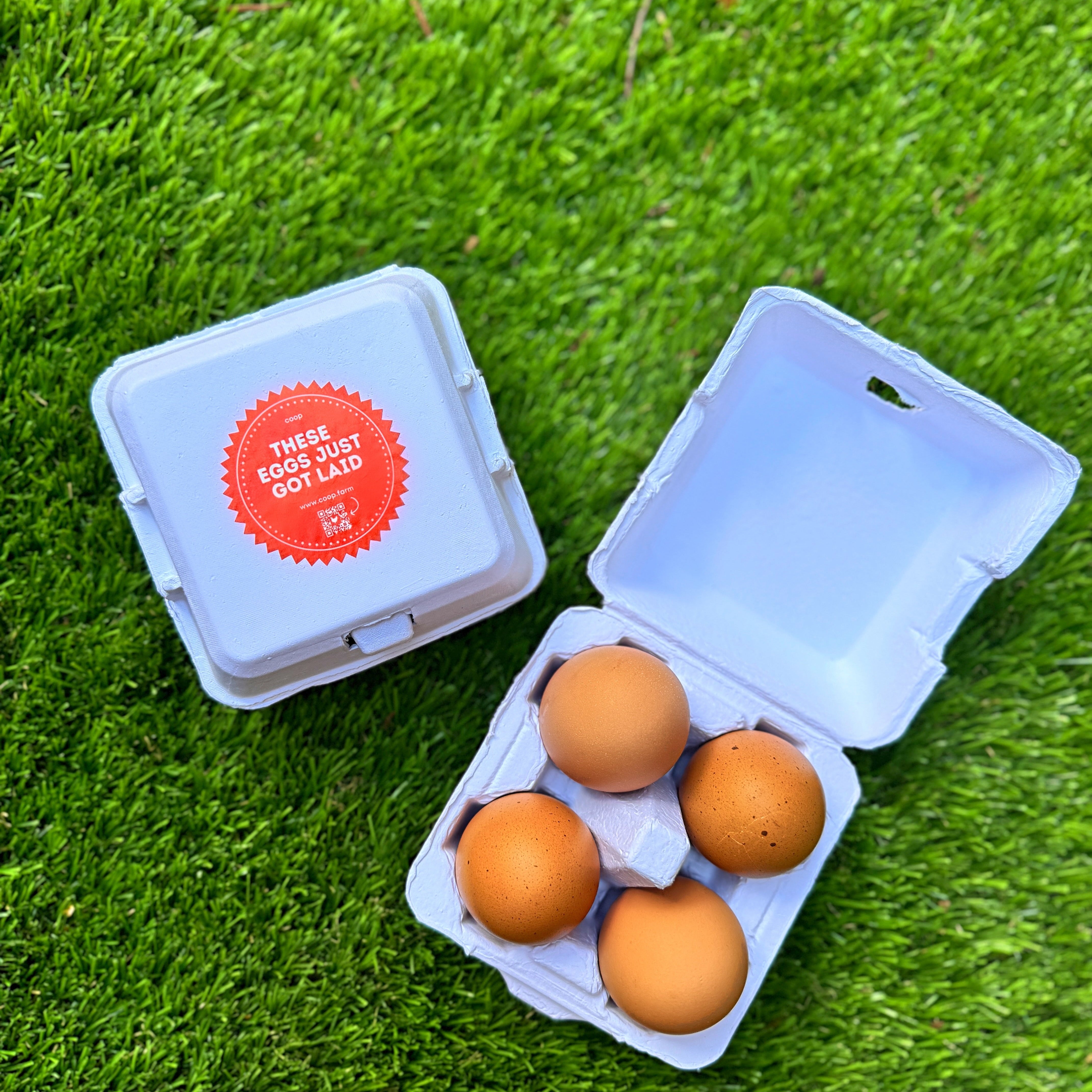 Chicken Eggs - 4 Egg Carton