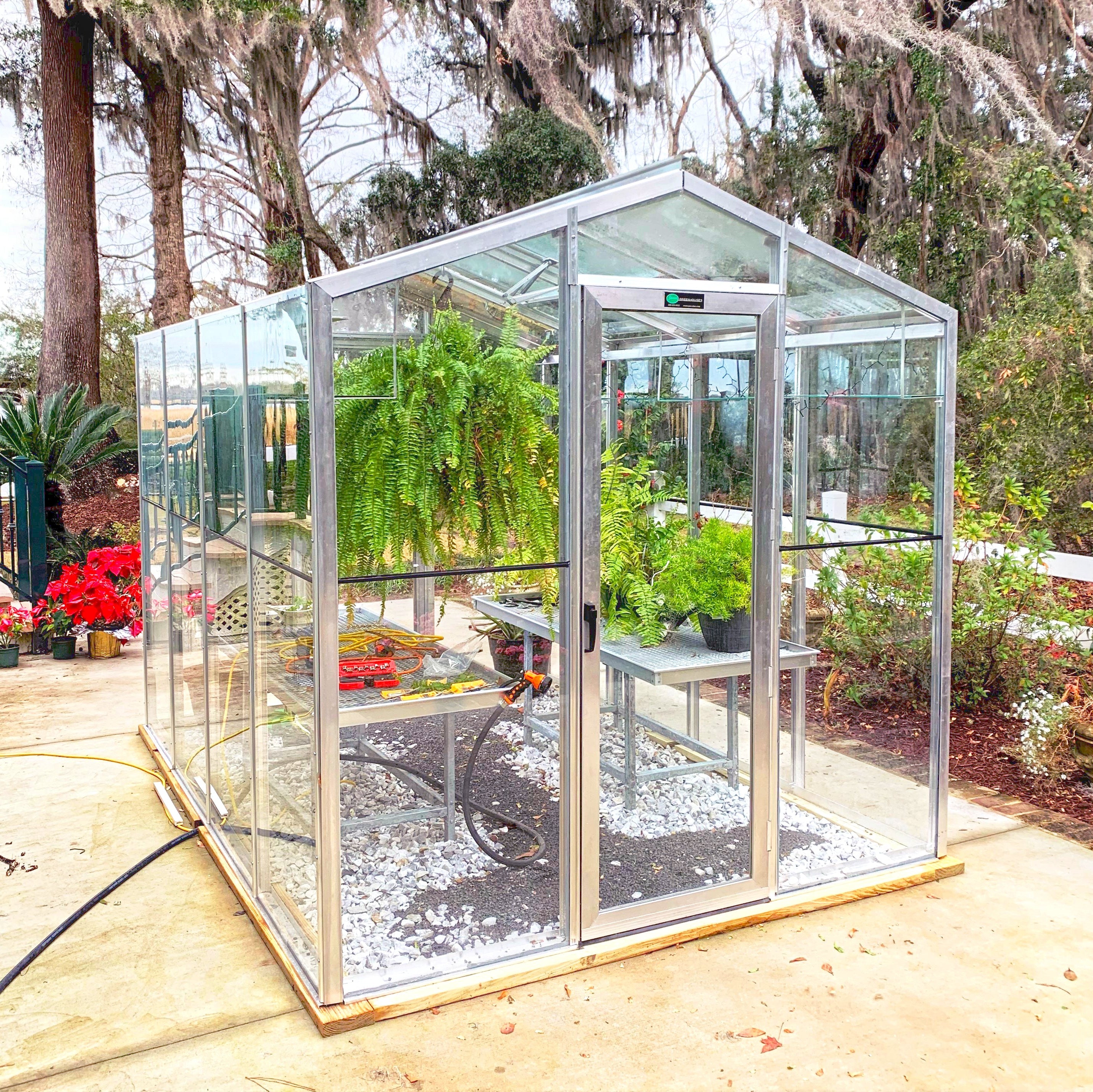 Palmetto Greenhouse 8' x 10'