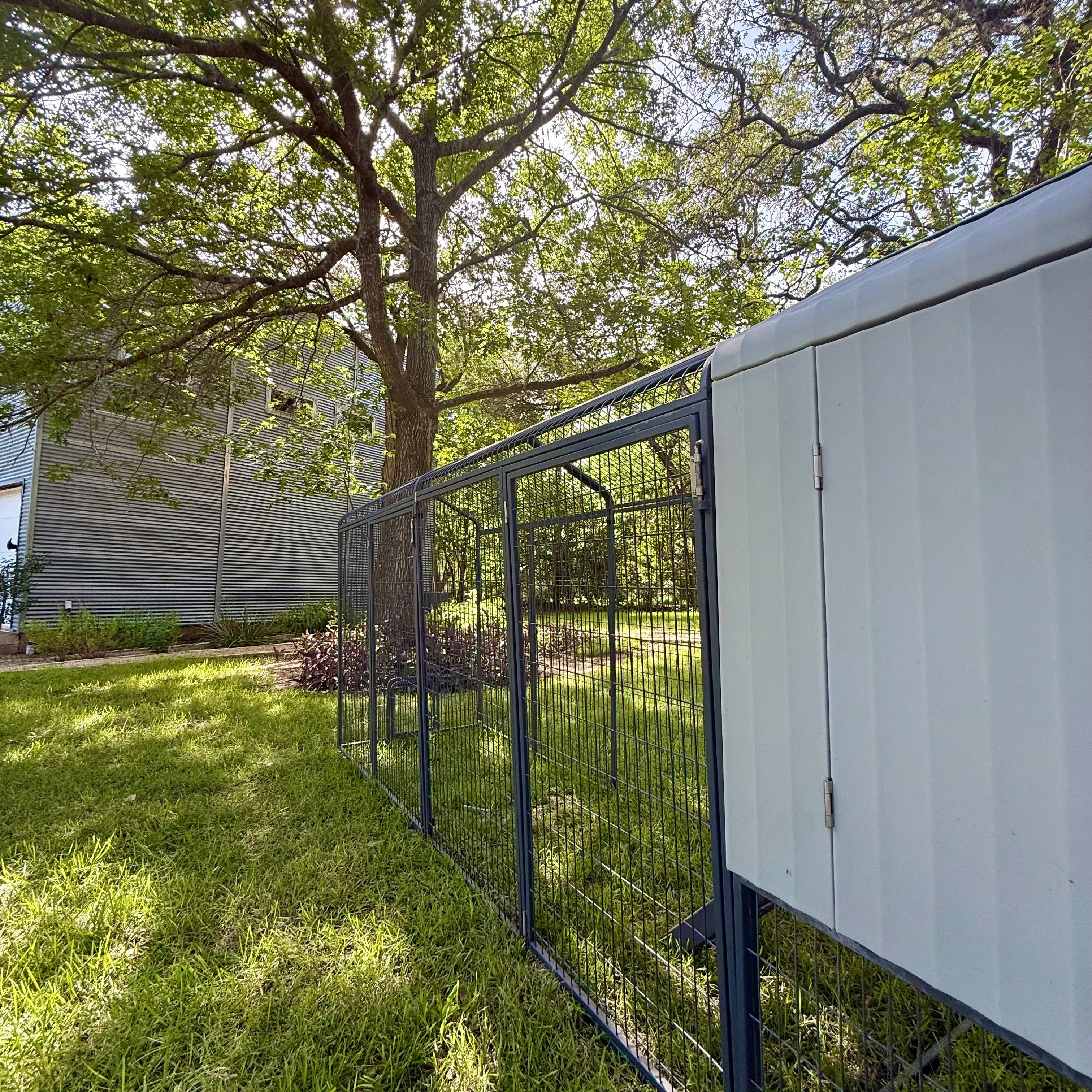 The Smart Coop + 2X Extended Run (+ Free Chicks! 🐣 + Solar! ☀️)