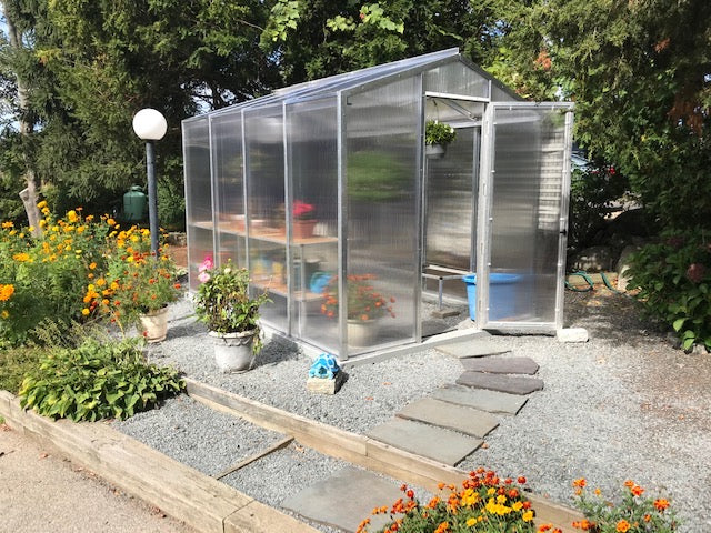 Palmetto Greenhouse 8 FT x 10 FT Lifetime Warranty on Frame and Glass