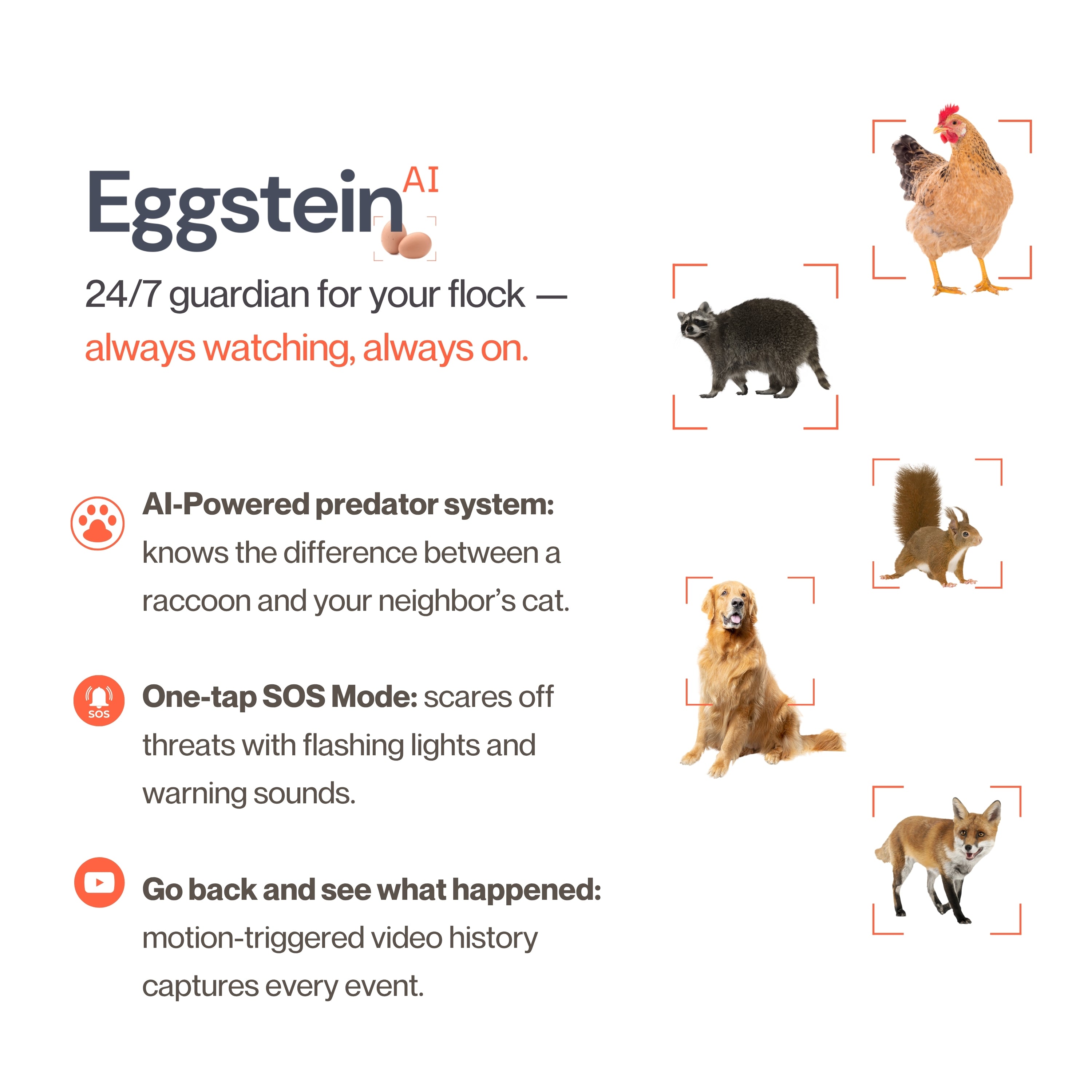The Smart Coop + Base (+ Free Chicks! 🐣)