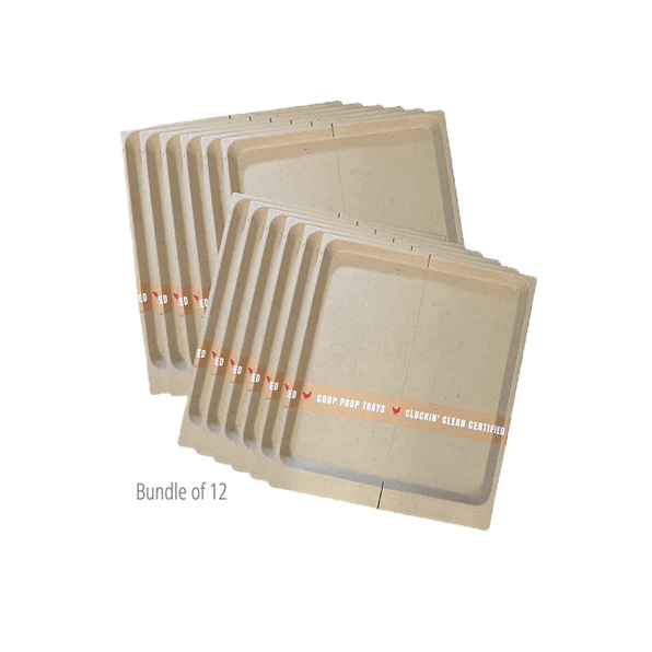 Power + Protect Bundle