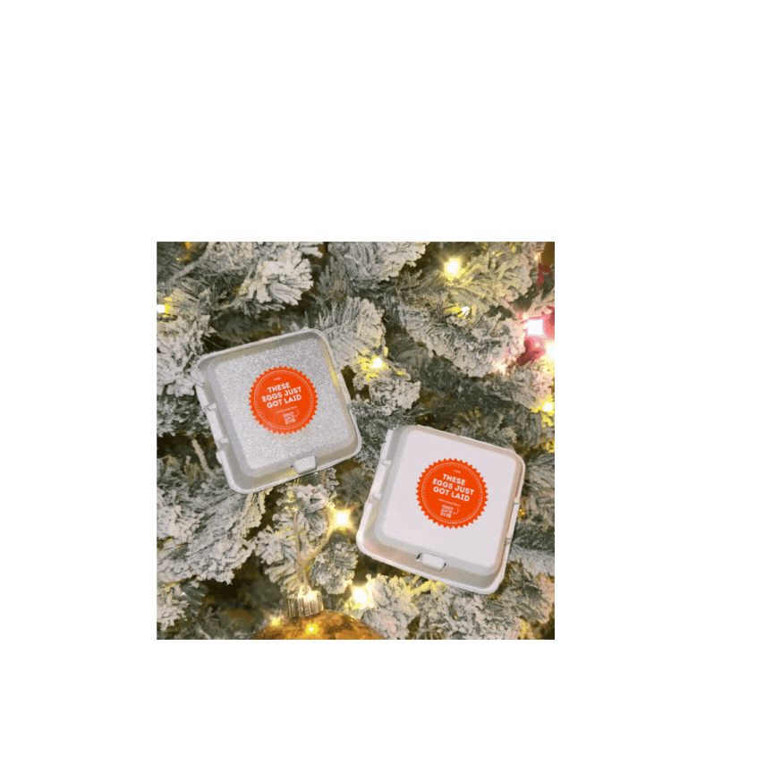 Chicken Eggs - 4 Egg Carton