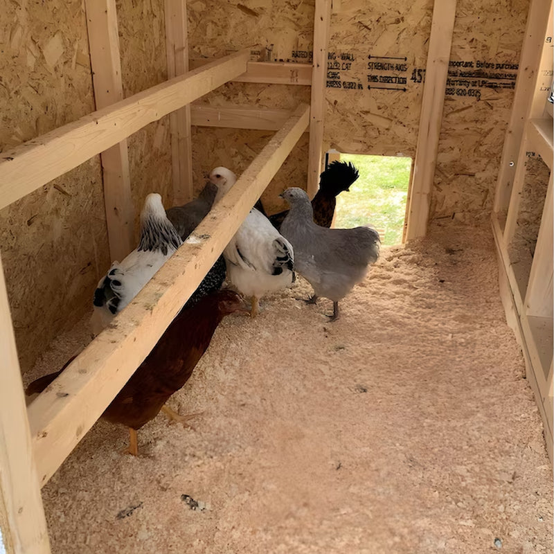 Red Wood Chicken Coop