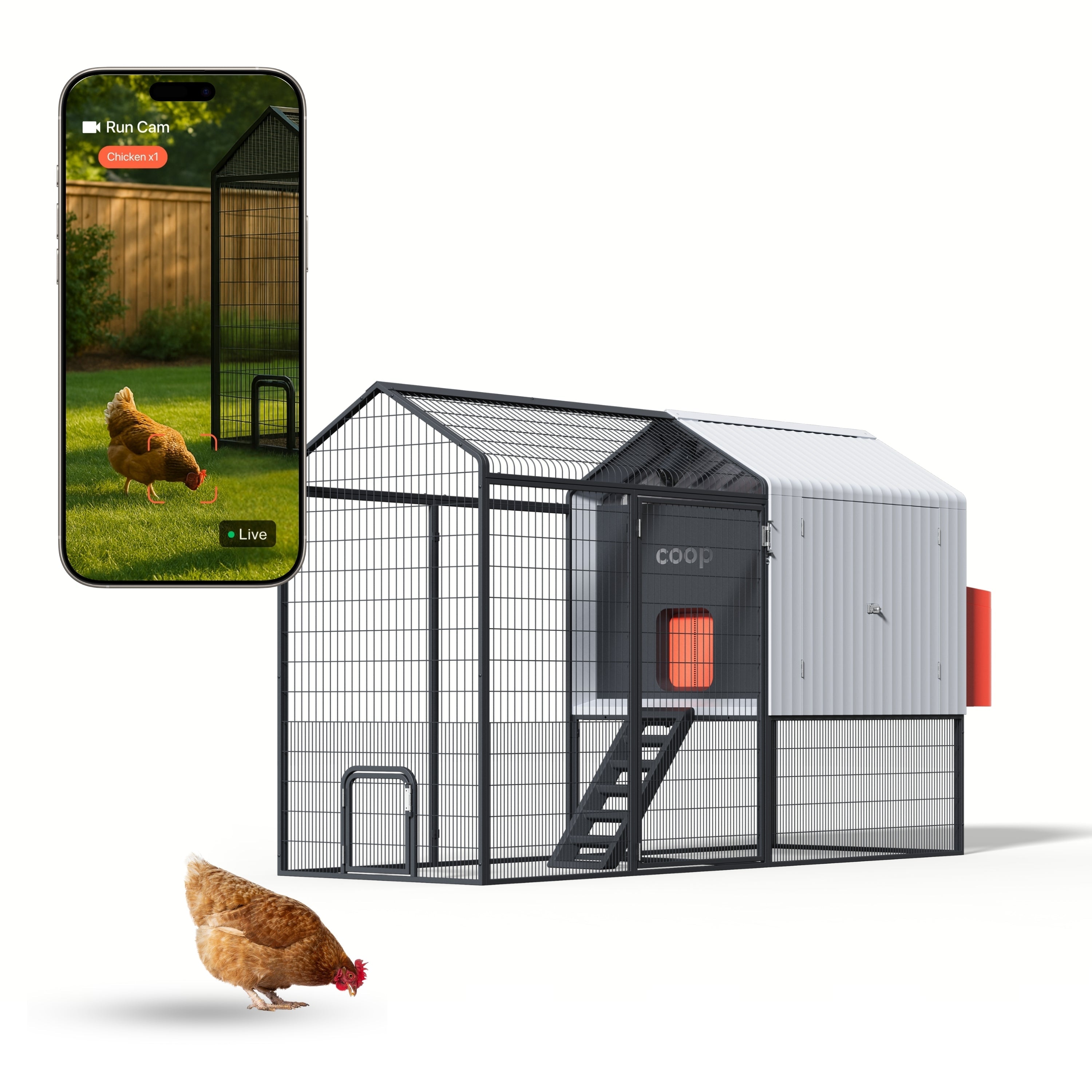 The Smart Coop + Steel Run (+ Free Chicks! 🐣 + Solar☀️)