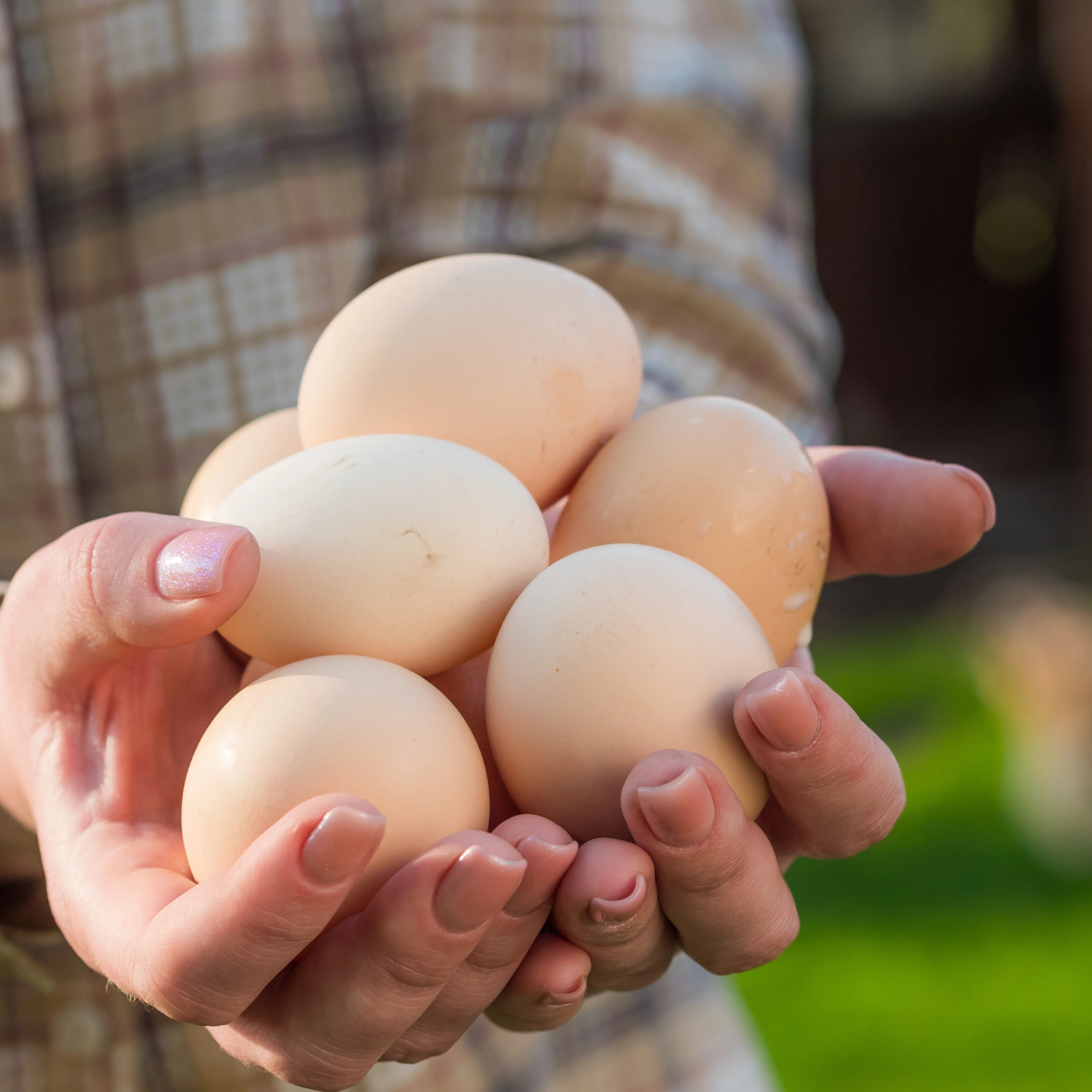 Woman holding two handfuls of eggs. 