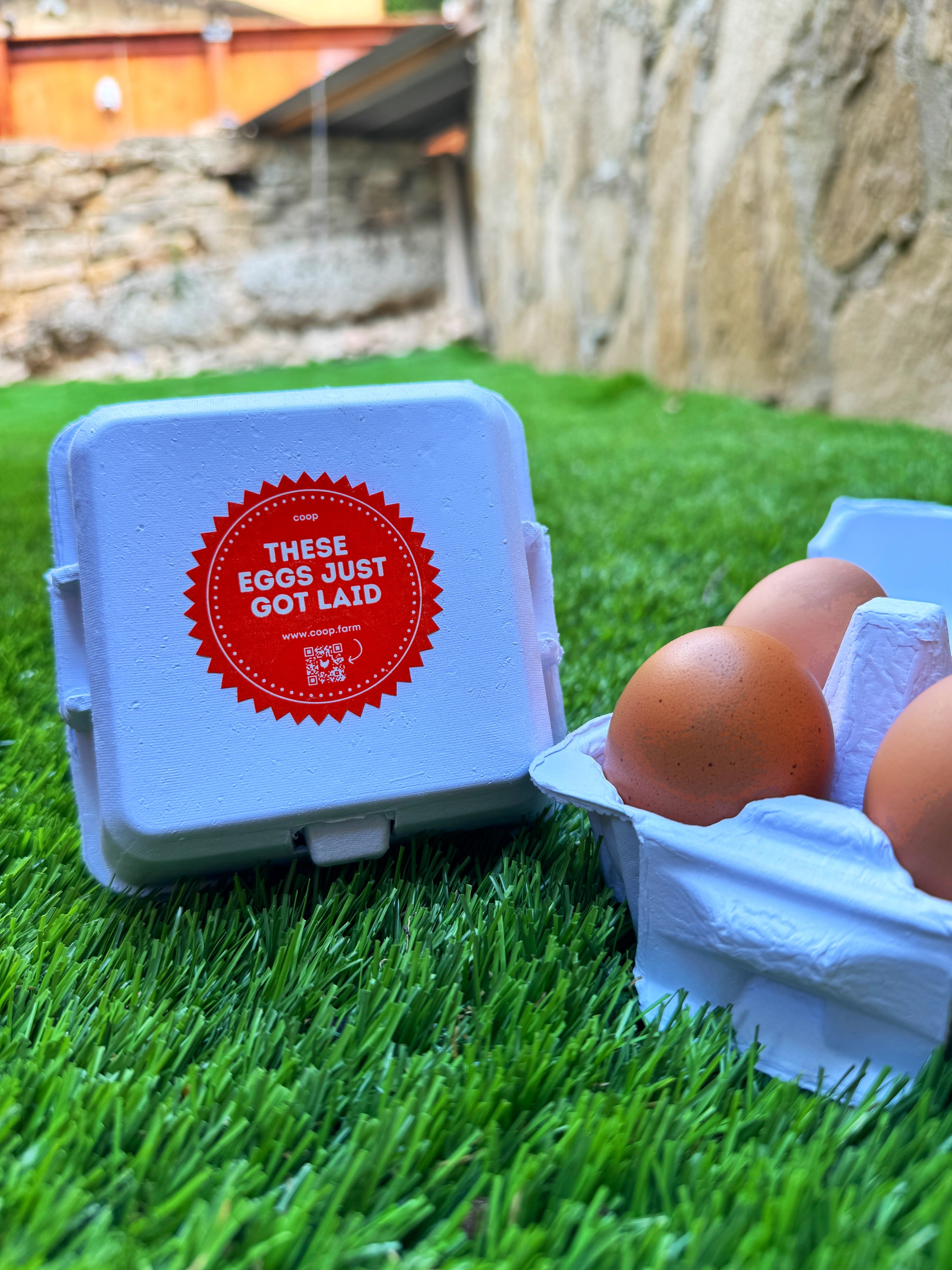 Chicken Eggs - 4 Egg Carton