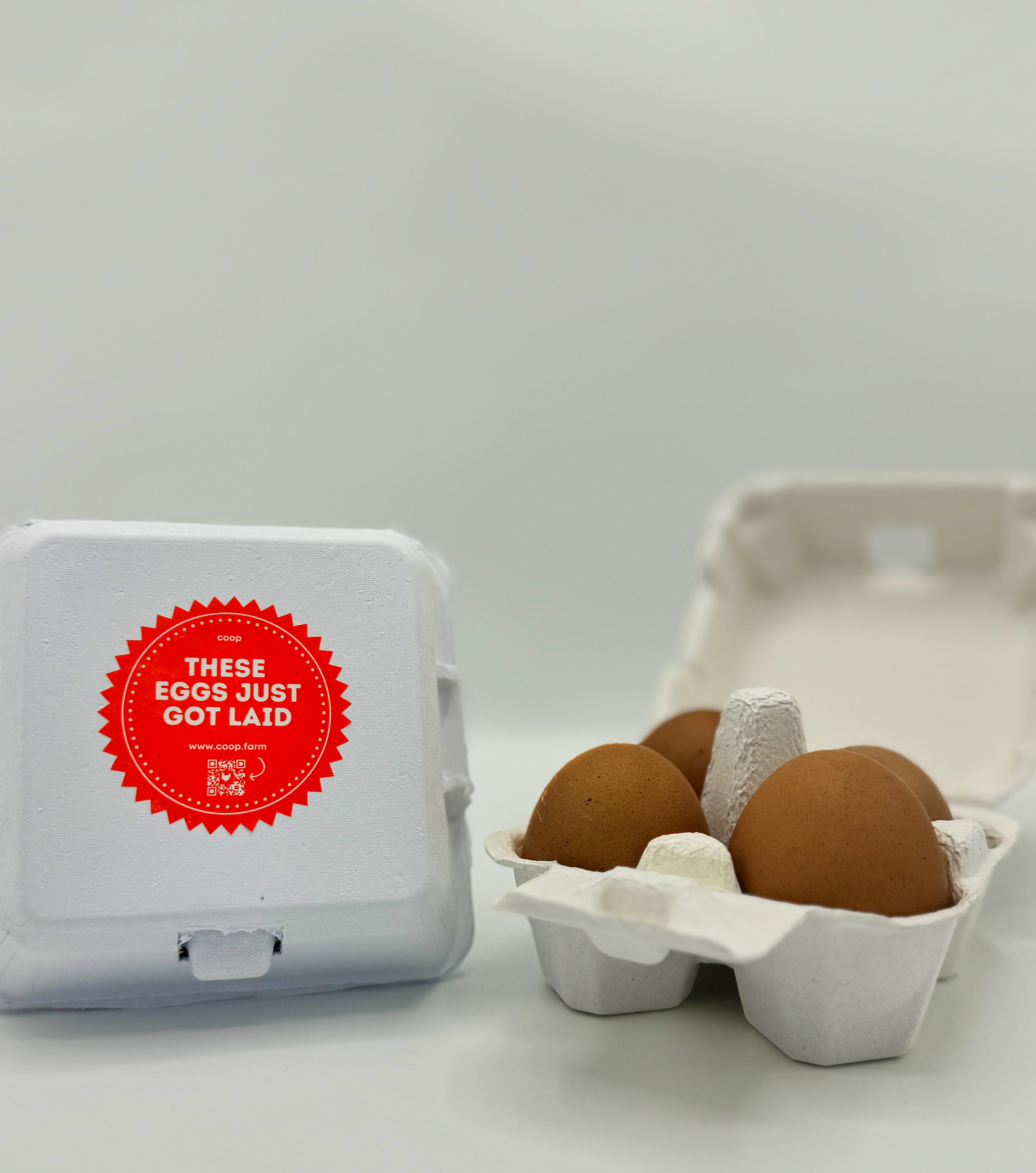 Chicken Eggs - 4 Egg Carton