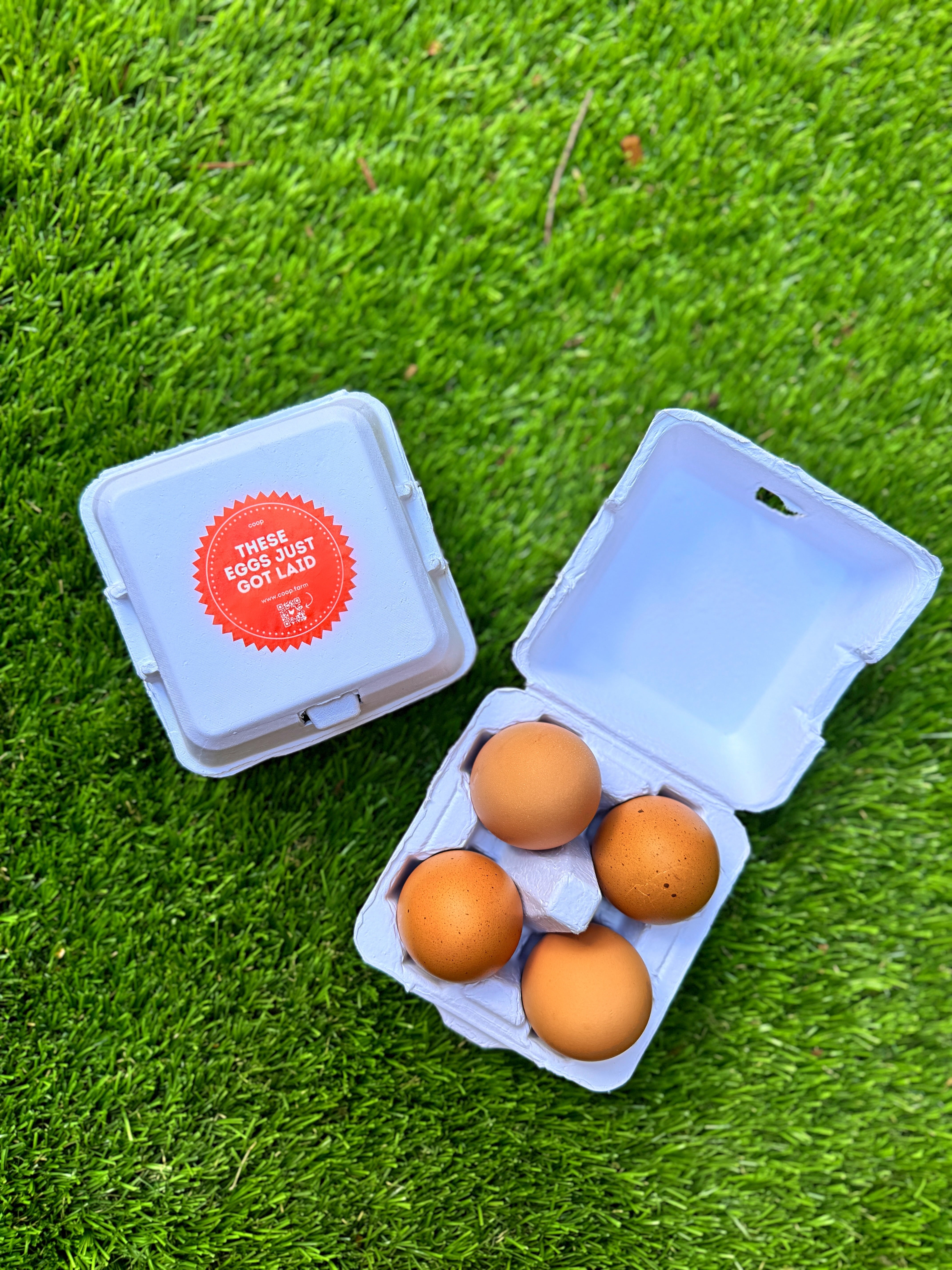 Chicken Eggs - 4 Egg Carton