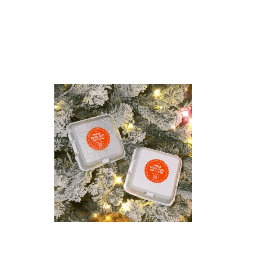 Chicken Eggs - 4 Egg Carton