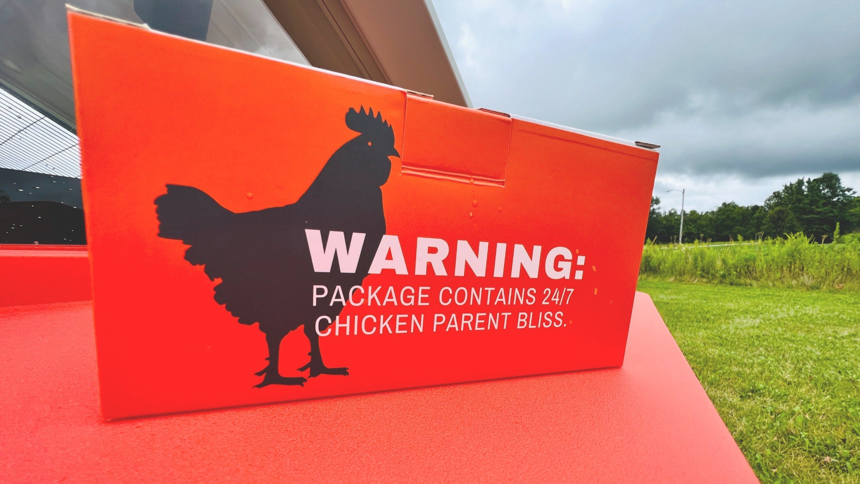 Smart CoopCam