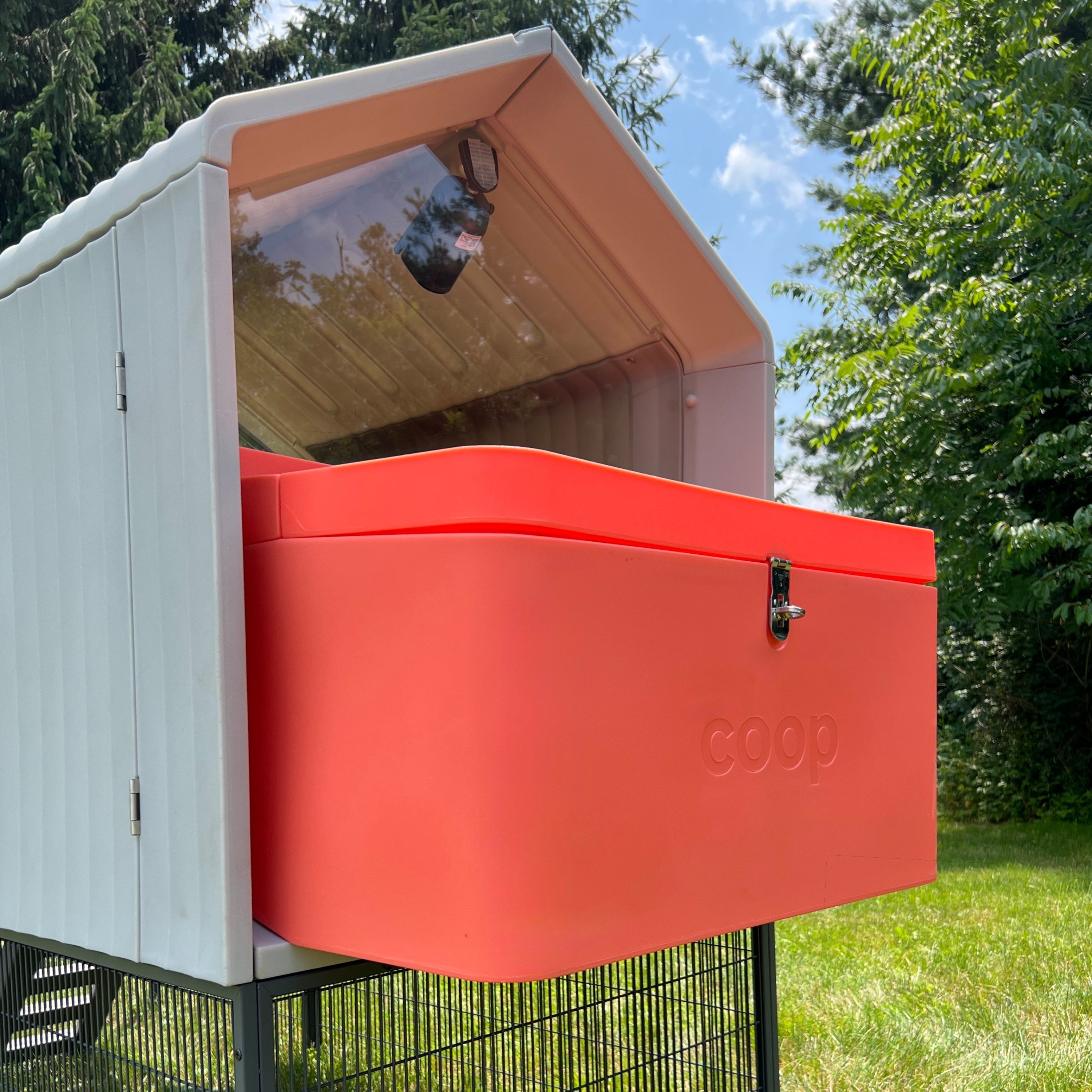 The Smart Coop + Steel Run (+ Free Chicks! 🐣 + Solar☀️)
